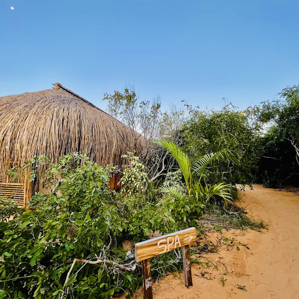 asDunas SPA