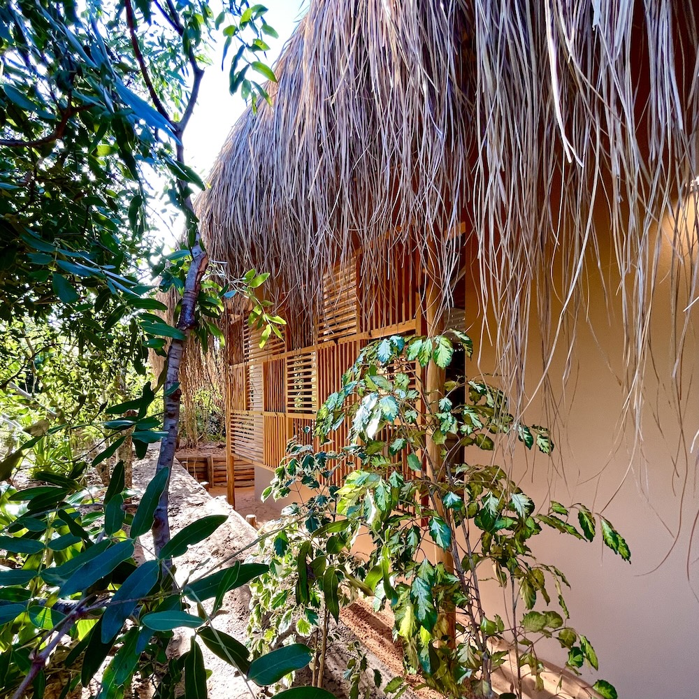 asDunas SPA
